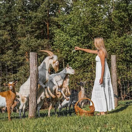 Koca Na Samem Prestiz Tatil Evi