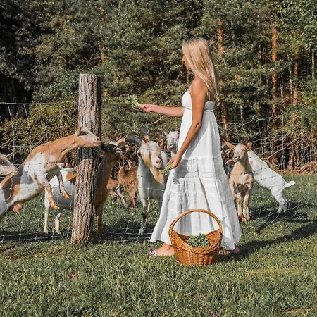 Сasa de vacaciones Koca Na Samem Prestiz *