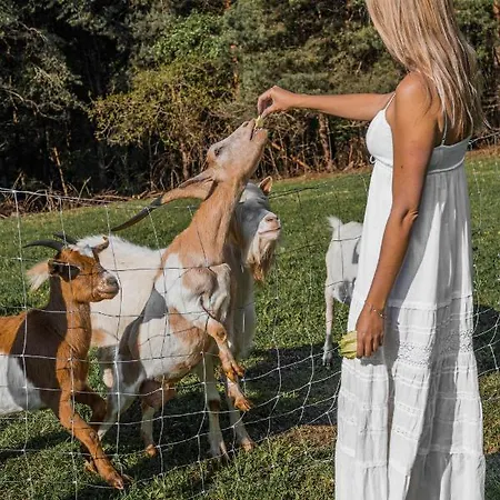 Tatil Evi Koca Na Samem Prestiz Salovci