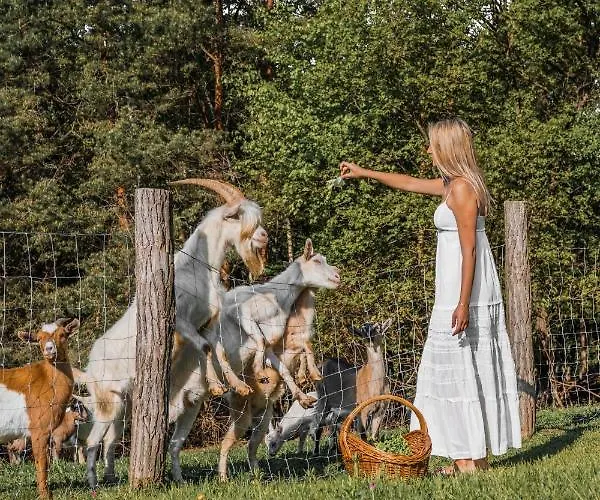 Koca Na Samem Prestiz Nyaraló