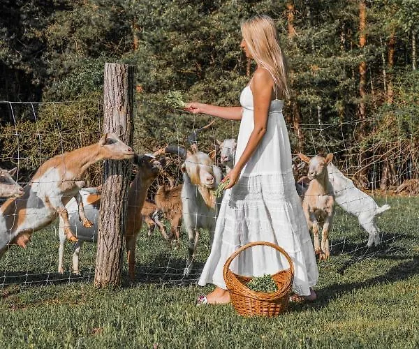 Casa vacanze Koca Na Samem Prestiz *