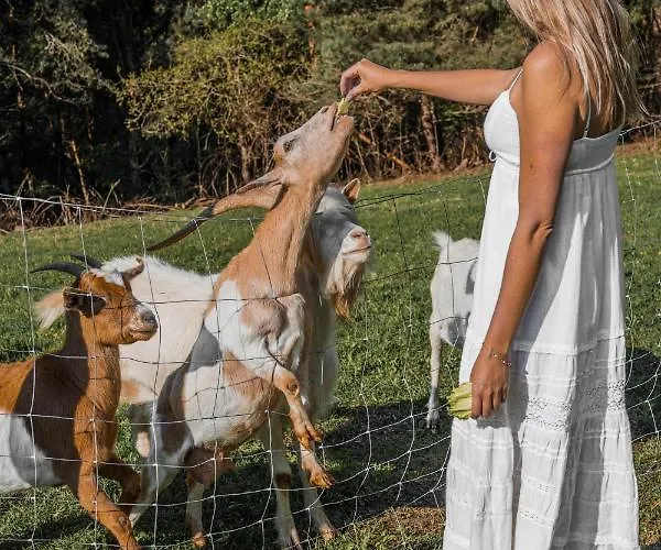 Nyaraló Koca Na Samem Prestiz Sal